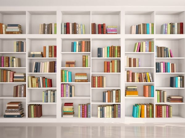 Bookshelf Assembly in Toms River